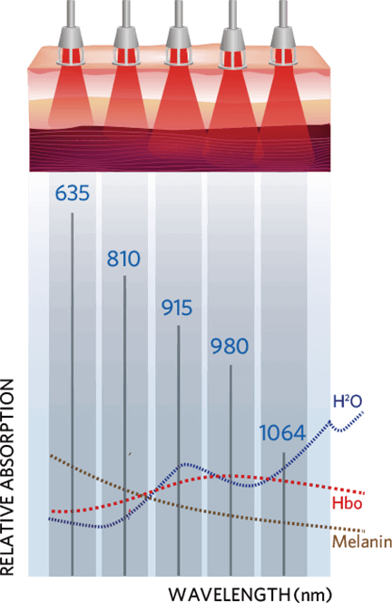 Effect of Different Wavelengths