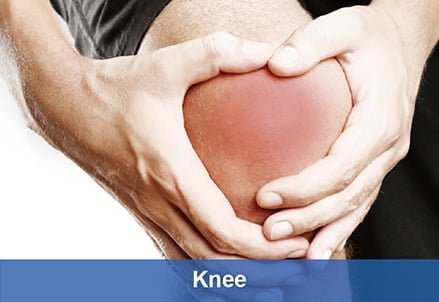 Knee