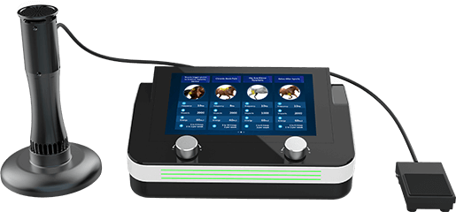 Therapy Device for Veterinary Use