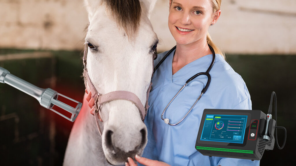 Understanding The Science Behind Equine Laser Therapy