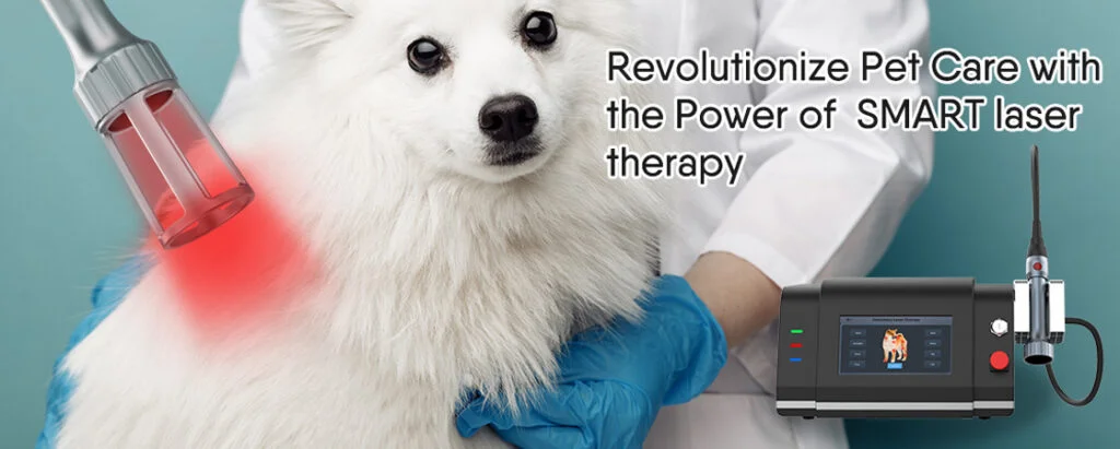 Tratamiento con láser de la artritis en perros