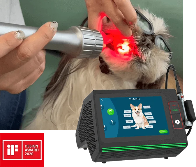 VETERINARY LASER THERAPY
