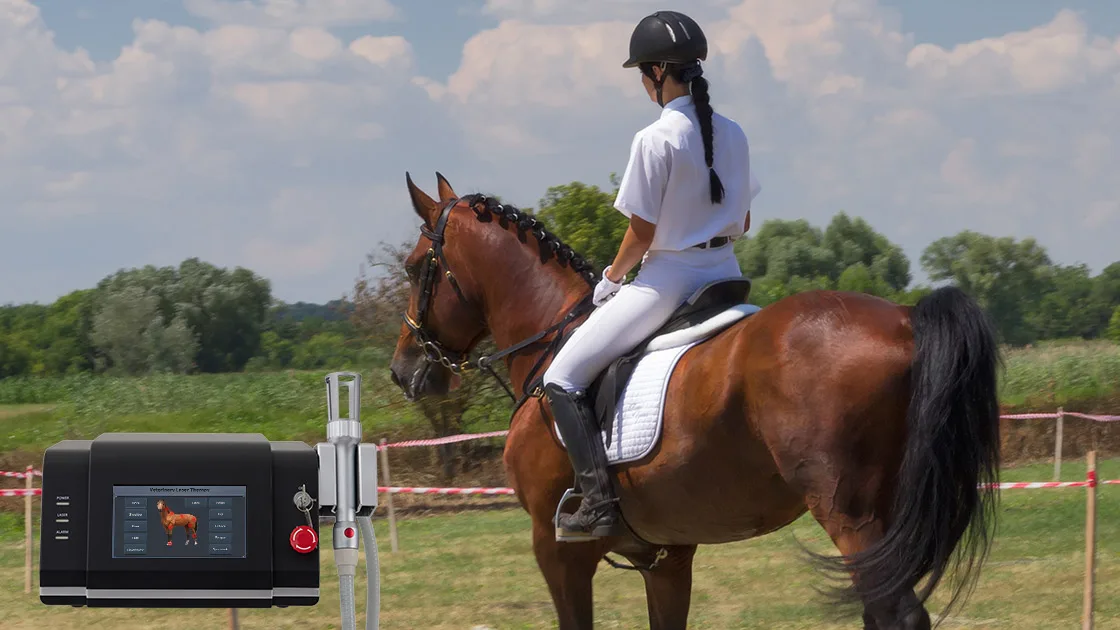 Thérapie au laser pour les chevaux