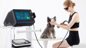 Terapia laser canina